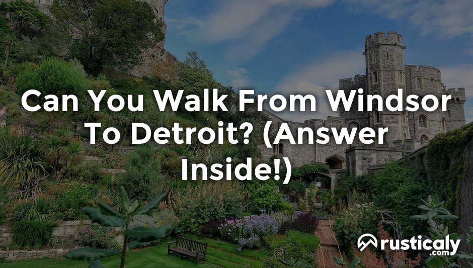 can you walk from windsor to detroit