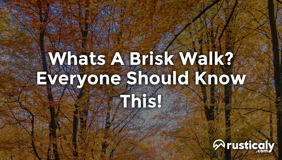 whats a brisk walk