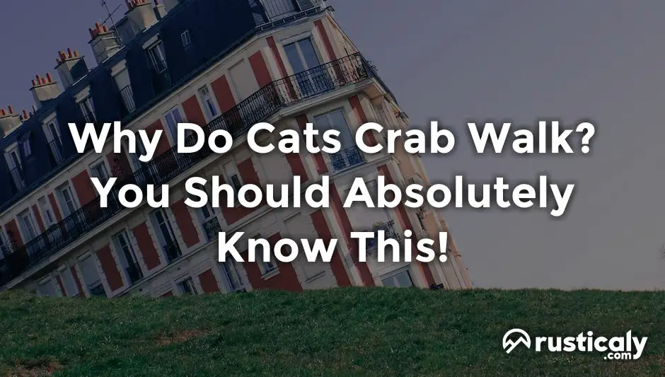 why do cats crab walk