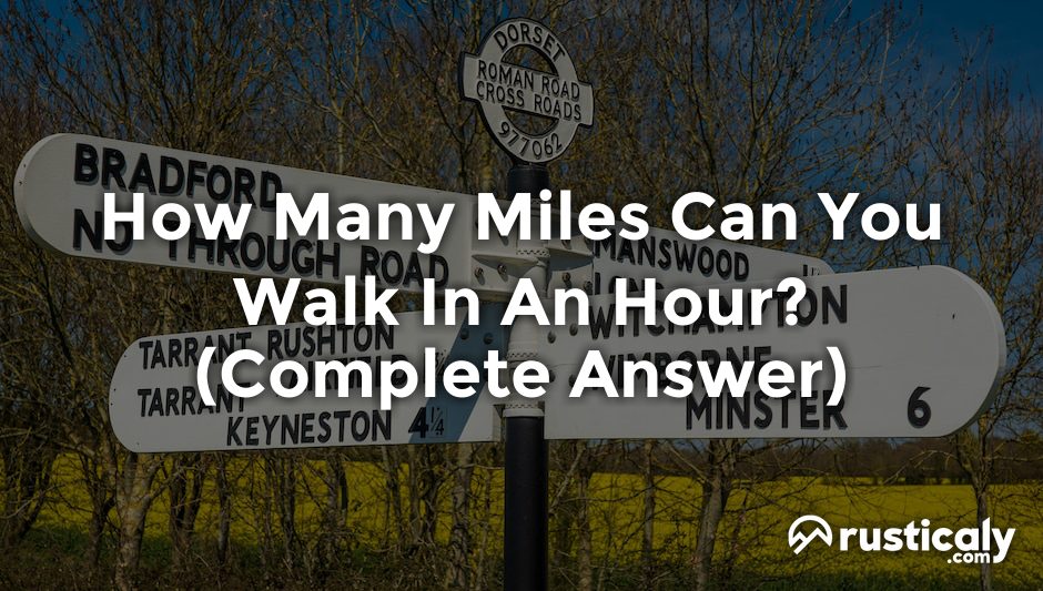 how many miles can you walk in an hour