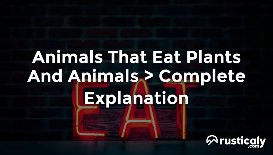 animals that eat plants and animals