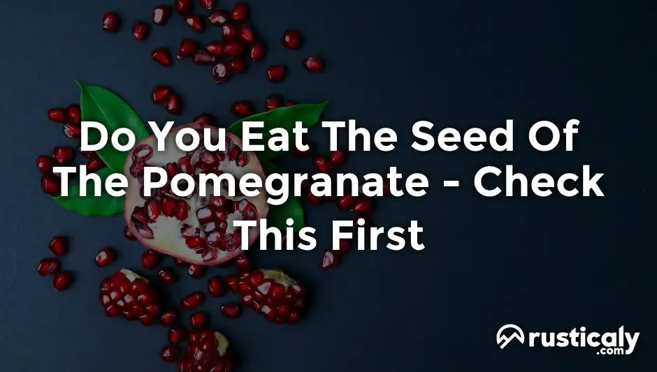 do you eat the seed of the pomegranate