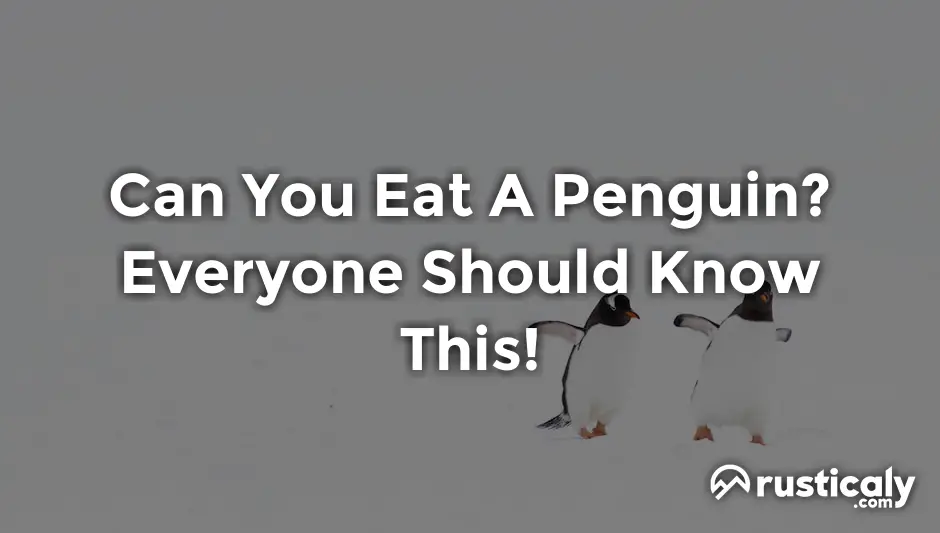 can you eat a penguin