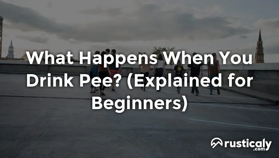 what happens when you drink pee