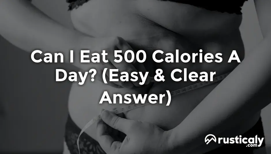 can i eat 500 calories a day