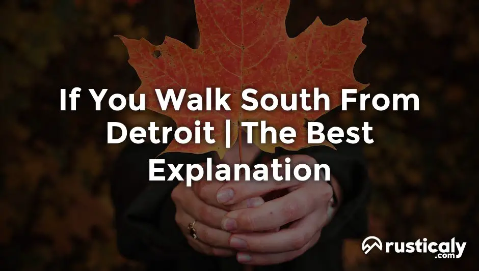 if you walk south from detroit