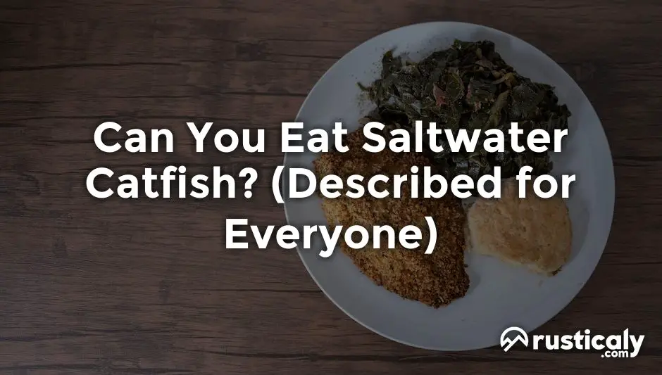 can you eat saltwater catfish