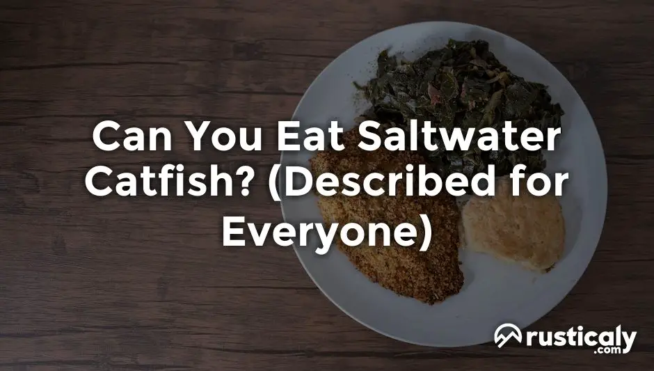 Can You Eat Saltwater Catfish? (Described for Everyone)