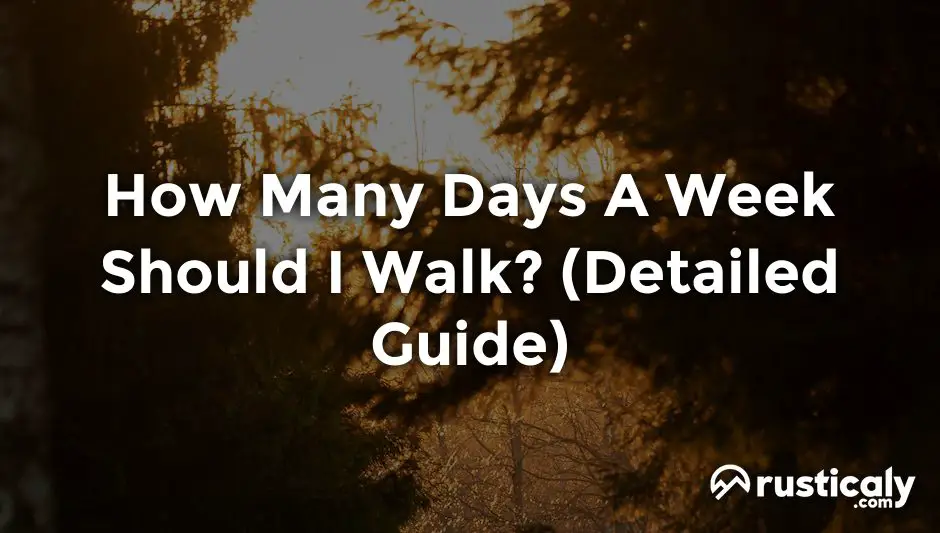 how many days a week should i walk