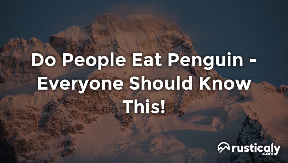 do people eat penguin