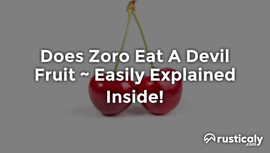 does zoro eat a devil fruit