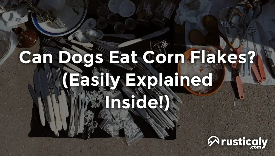 can dogs eat corn flakes