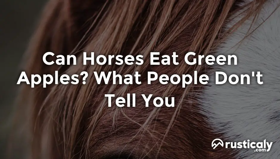 can horses eat green apples