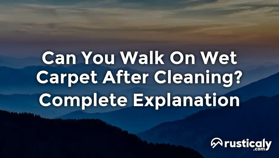 can you walk on wet carpet after cleaning
