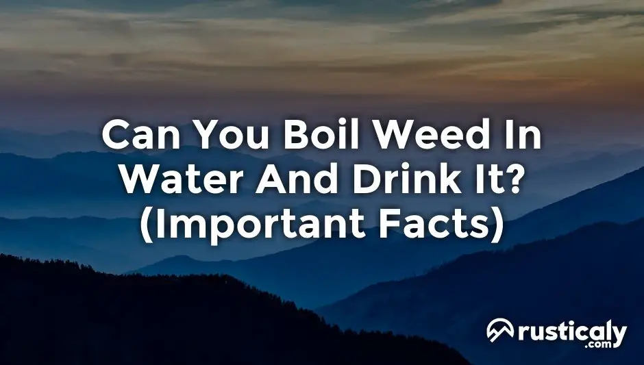 can you boil weed in water and drink it