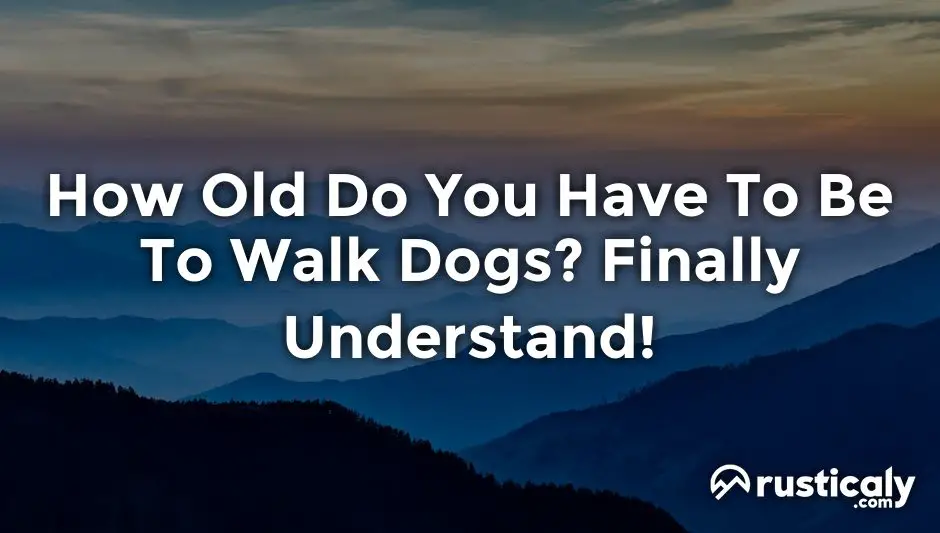 how old do you have to be to walk dogs
