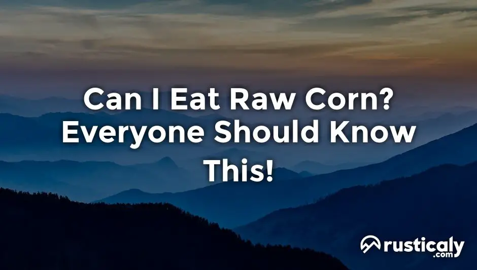 can i eat raw corn
