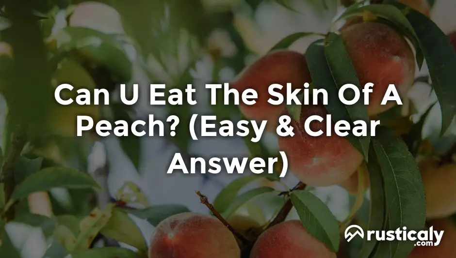 can u eat the skin of a peach