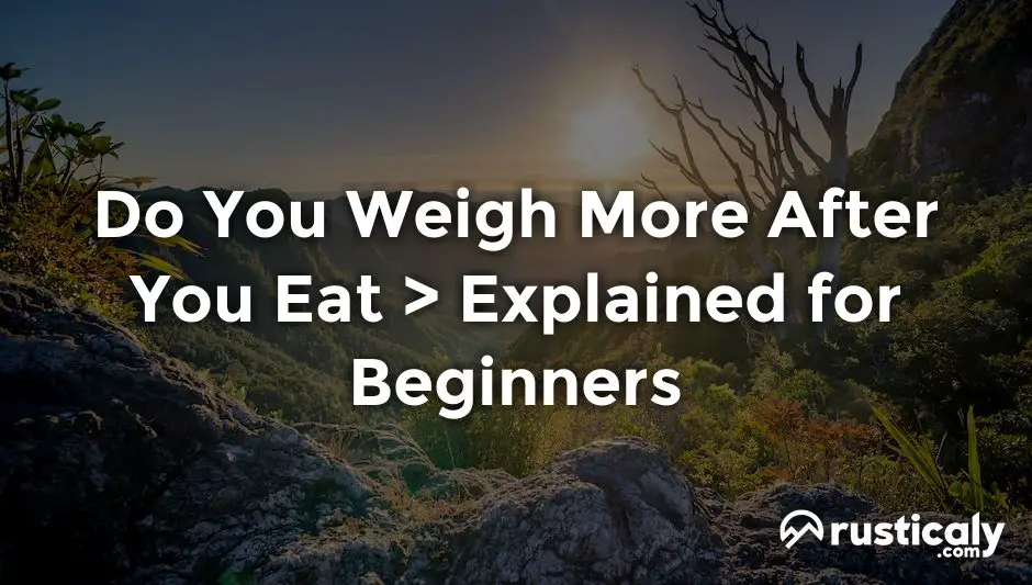 do you weigh more after you eat