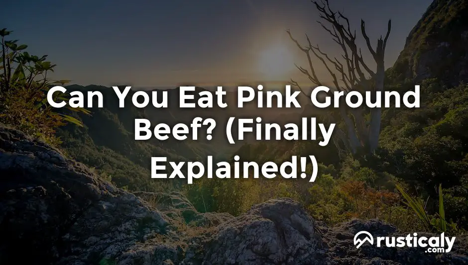 can you eat pink ground beef