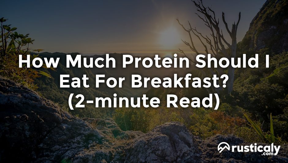 how much protein should i eat for breakfast