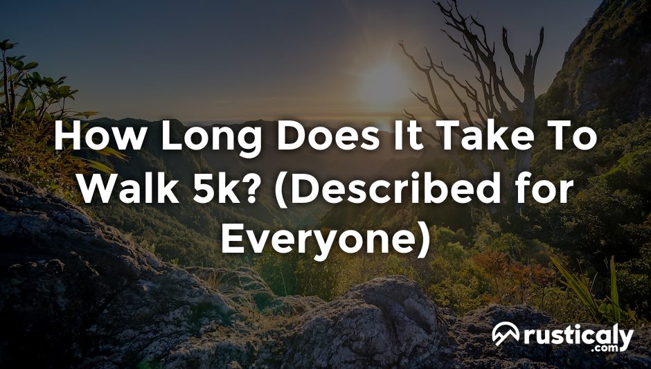 how long does it take to walk 5k