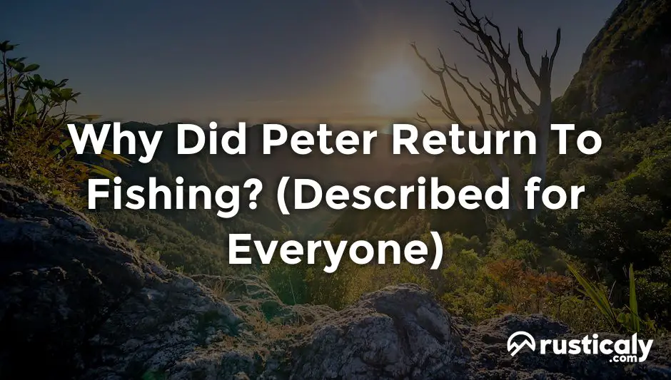 why did peter return to fishing