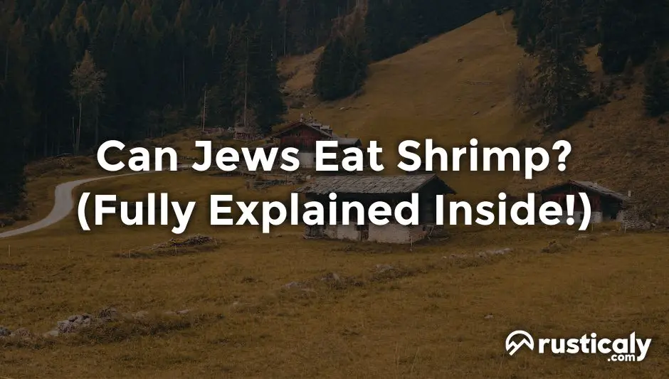 can jews eat shrimp