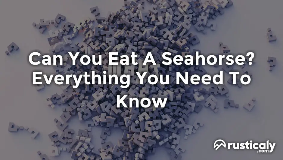 can you eat a seahorse