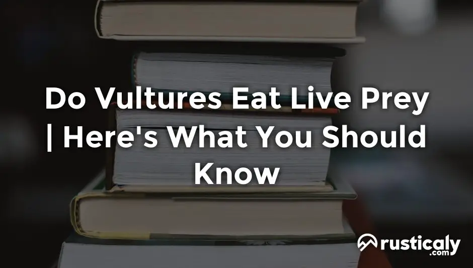 do vultures eat live prey