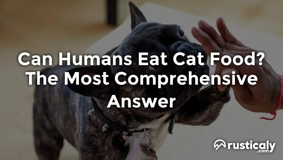 can humans eat cat food
