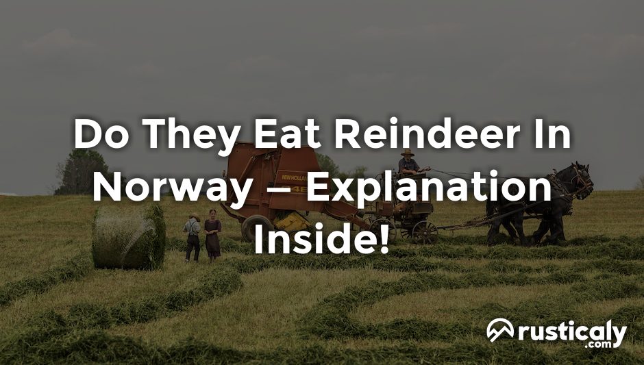 do they eat reindeer in norway