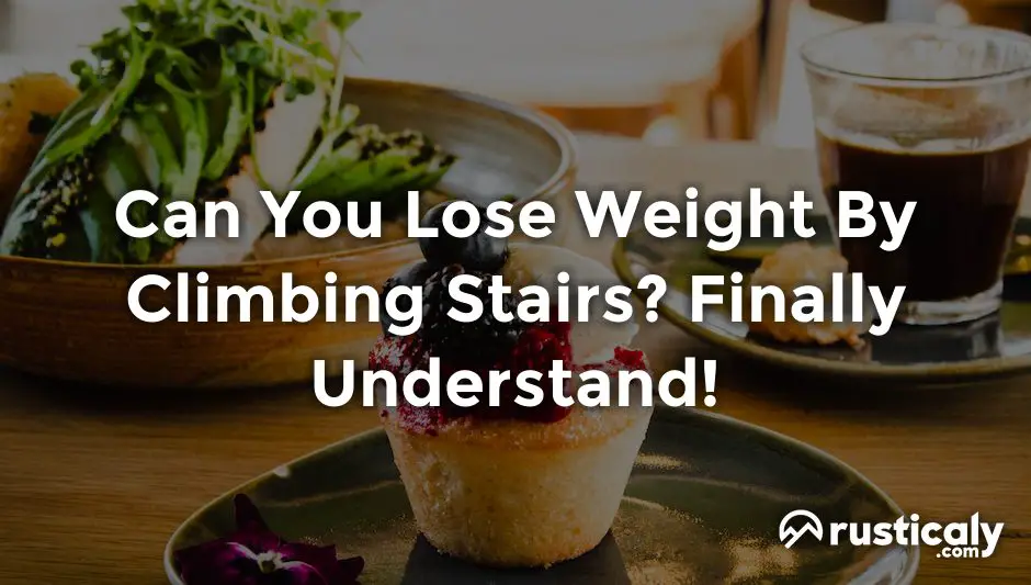 can you lose weight by climbing stairs