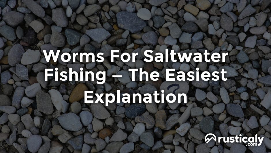 worms for saltwater fishing