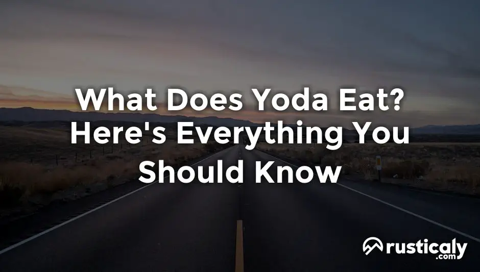 what does yoda eat