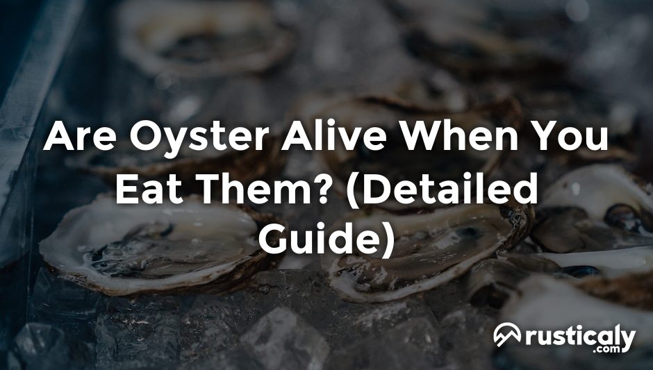 are oyster alive when you eat them