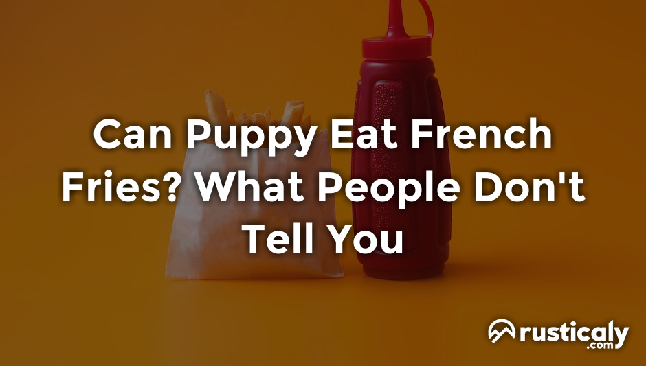 can puppy eat french fries