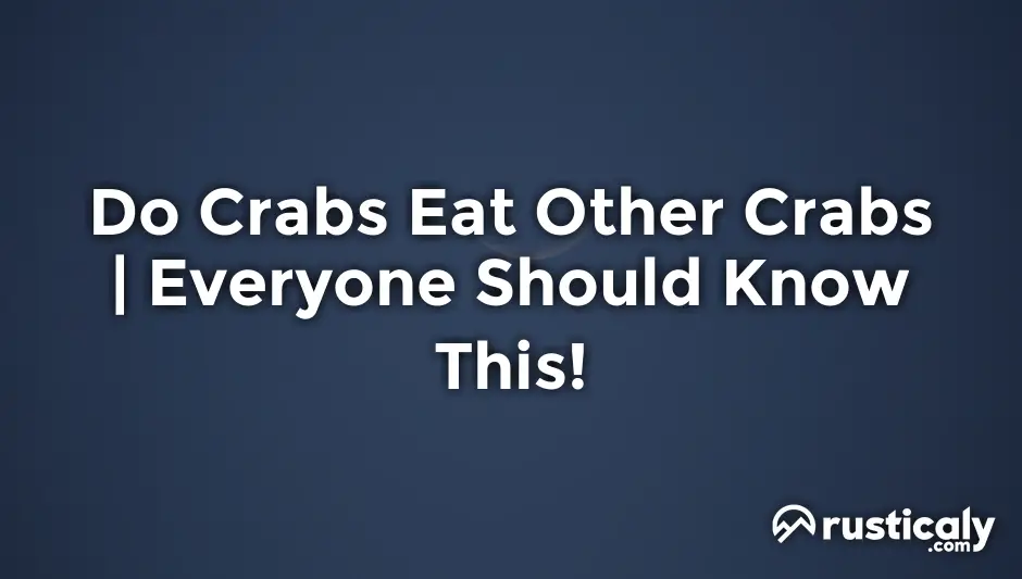 do crabs eat other crabs