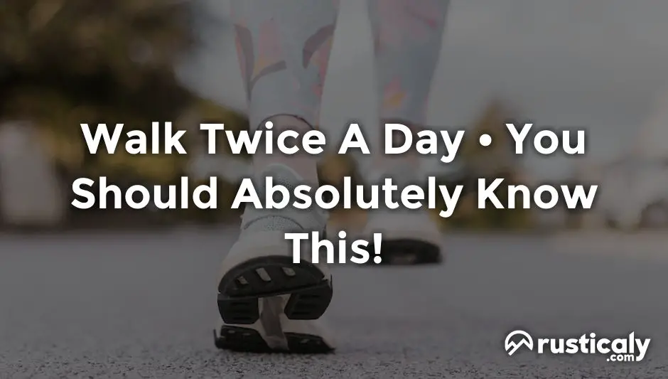 walk twice a day