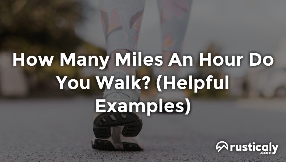 how many miles an hour do you walk