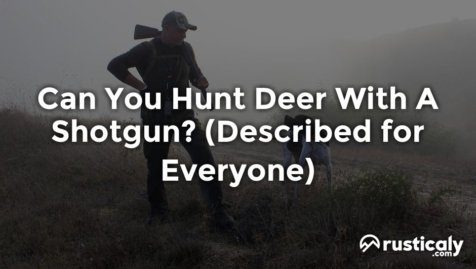 can you hunt deer with a shotgun
