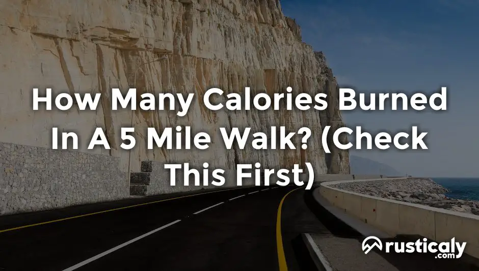 how many calories burned in a 5 mile walk