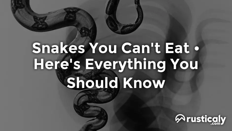 snakes you can't eat