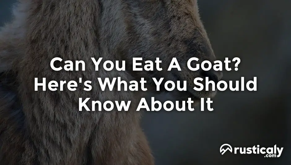 can you eat a goat