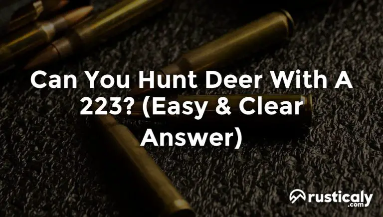 can you hunt deer with a 223