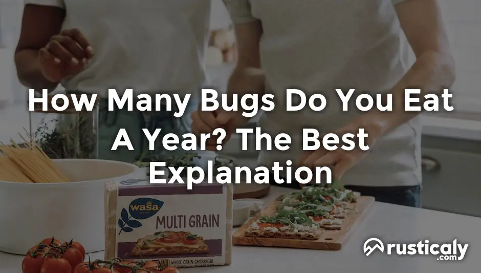 how many bugs do you eat a year