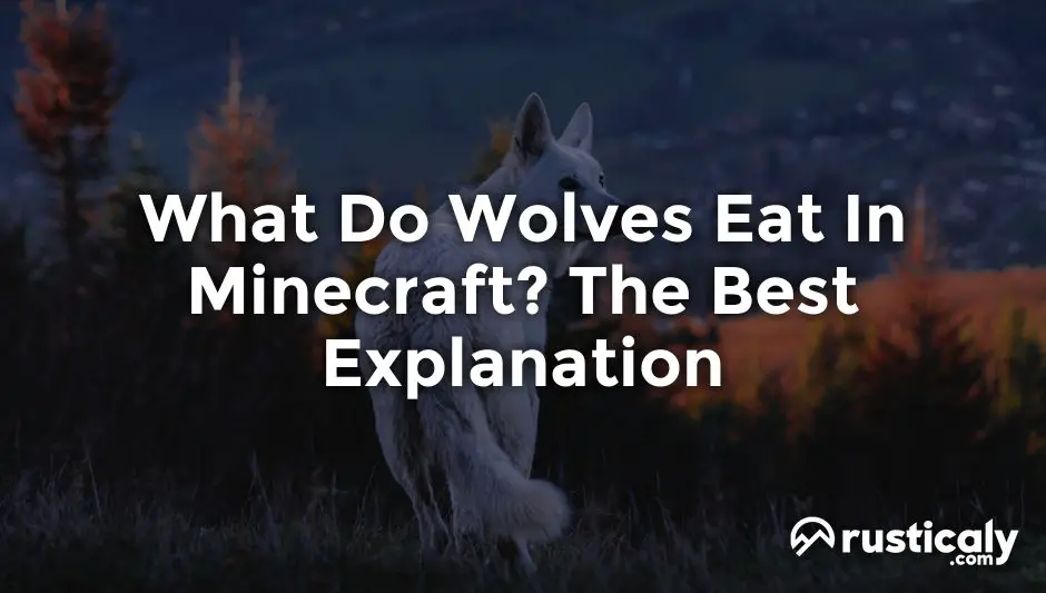 what do wolves eat in minecraft