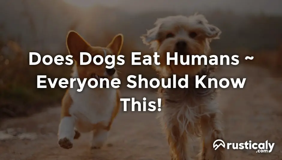 does dogs eat humans