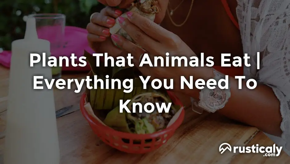 plants that animals eat