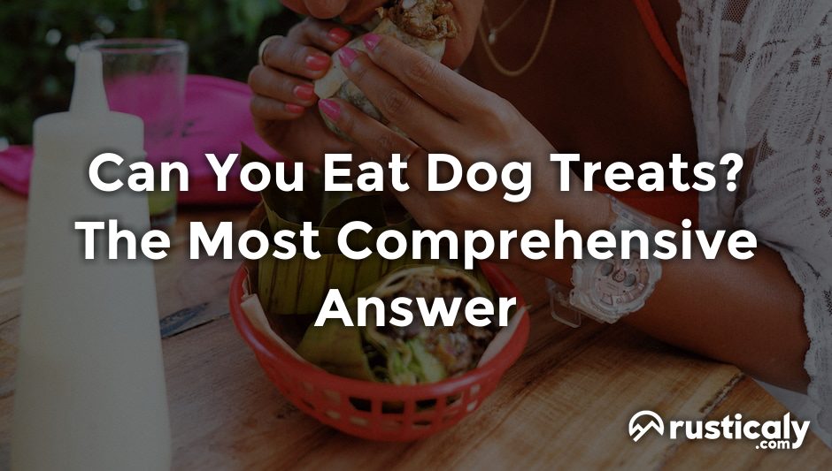 can you eat dog treats